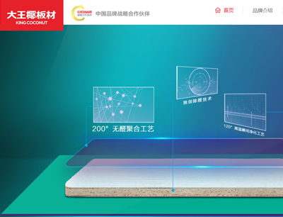 網(wǎng)站建設(shè)案例